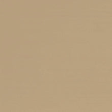 Lade das Bild in den Galerie-Viewer, Pflege Set Holzpferd Saicos Farbe + Pinsel